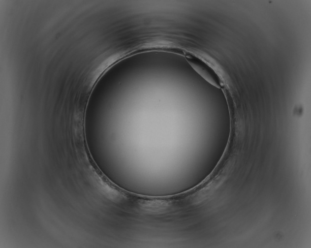 X0000091521337200708241642