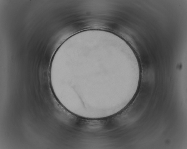 X0000091521338200708241642