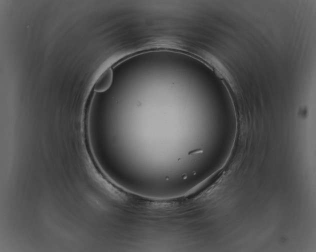 X0000091521339200708241642