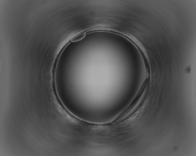X0000091521341200708241642