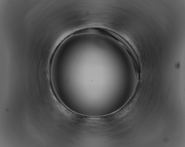 X0000091521342200708241642