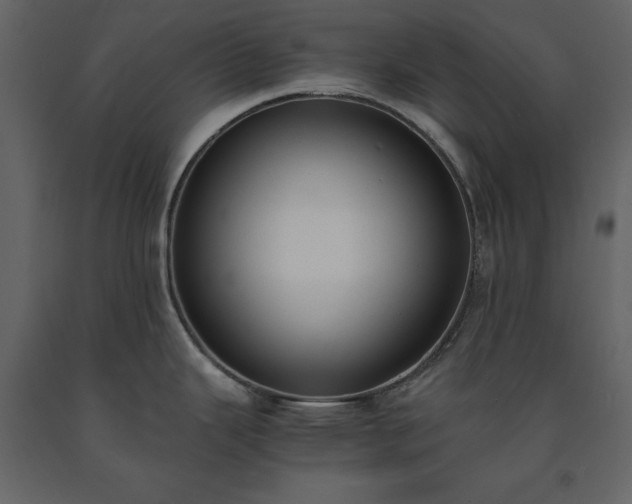 X0000091521343200708241642