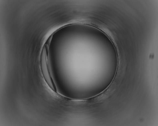 X0000091521344200708241642
