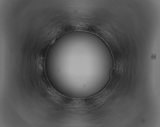 X0000091521346200708241641