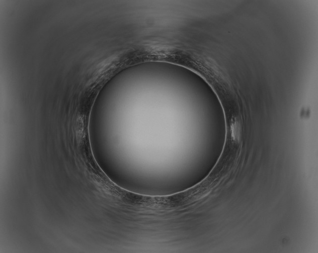 X0000091521347200708241641