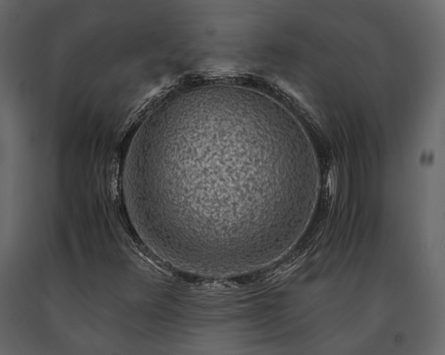 X0000091521348200708241641