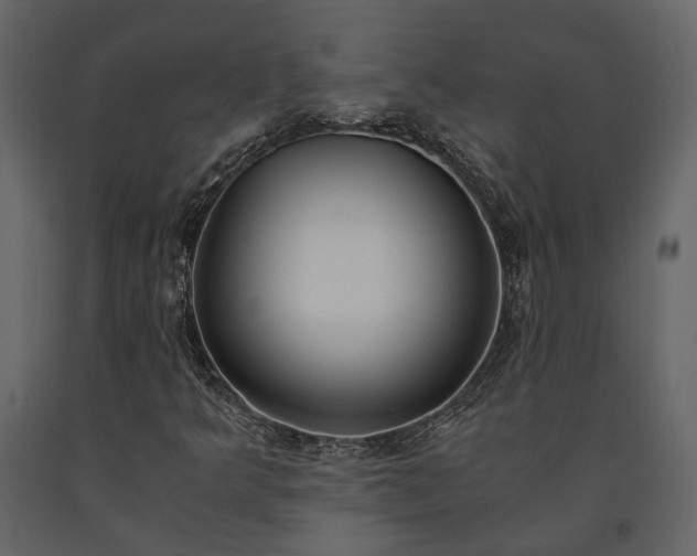 X0000091521349200708241641