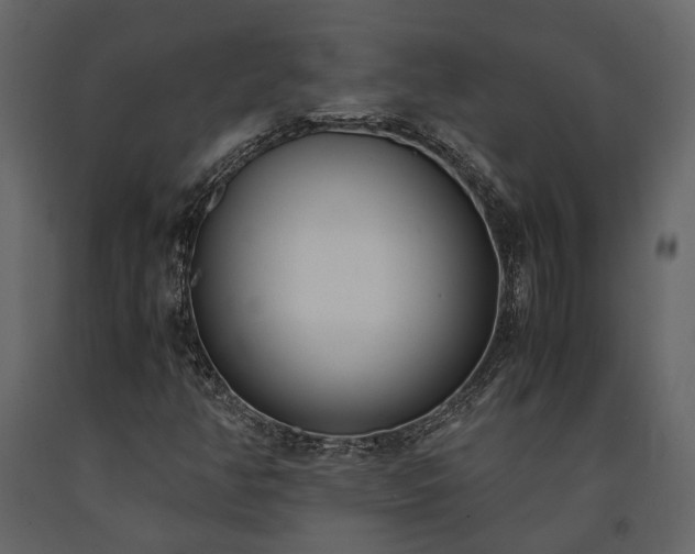X0000091521350200708241641