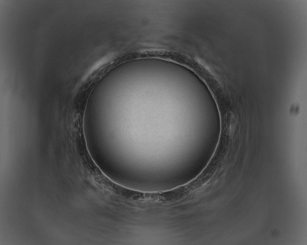 X0000091521351200708241641
