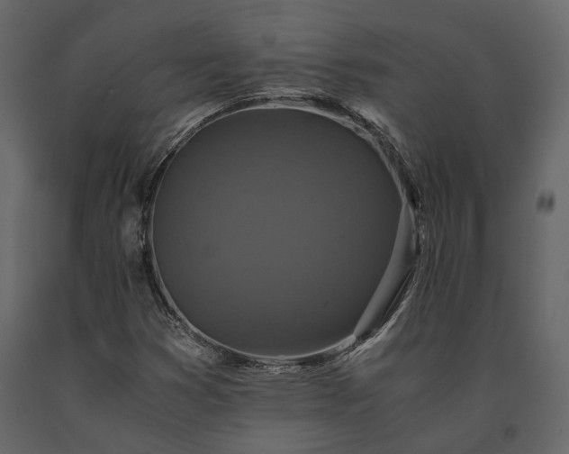 X0000091521353200708241641