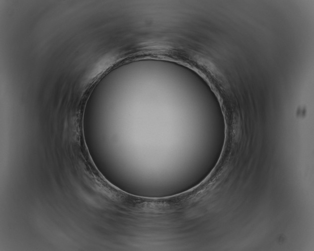 X0000091521354200708241641