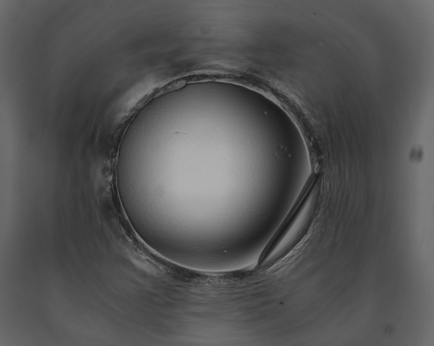 X0000091521355200708241641