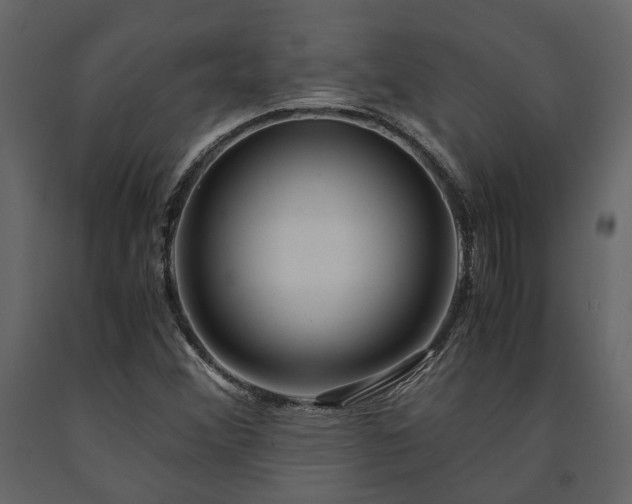 X0000091521356200708241641