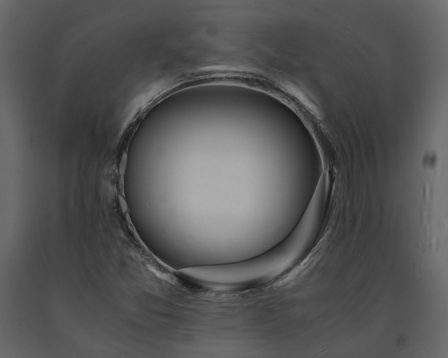 X0000091521357200708241641