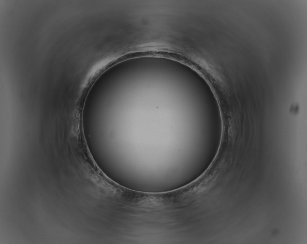 X0000091521358200708241641