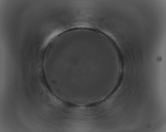 X0000091521359200708241641