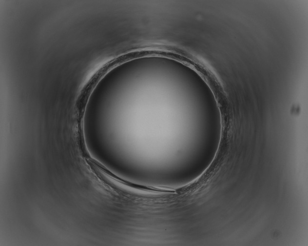 X0000091521360200708241641