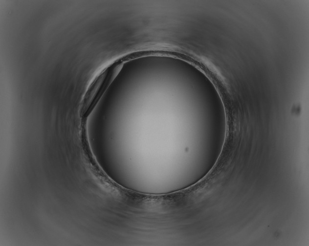 X0000091521364200708241641