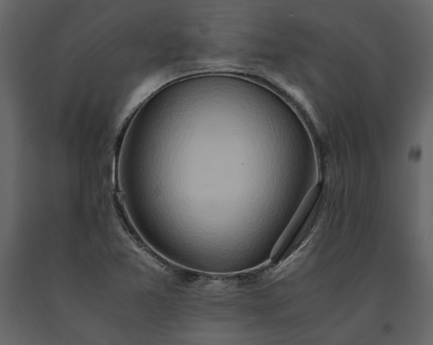 X0000091521365200708241641