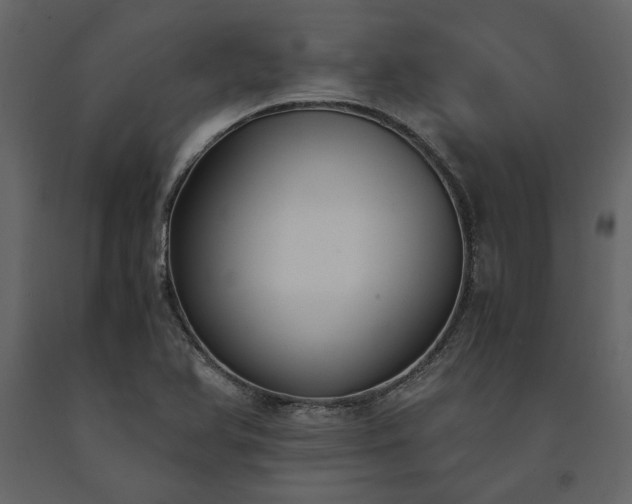 X0000091521366200708241641