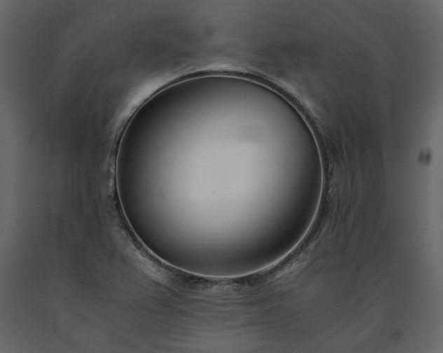 X0000091521367200708241641