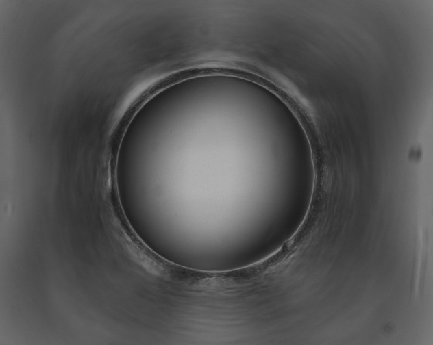 X0000091521368200708241641