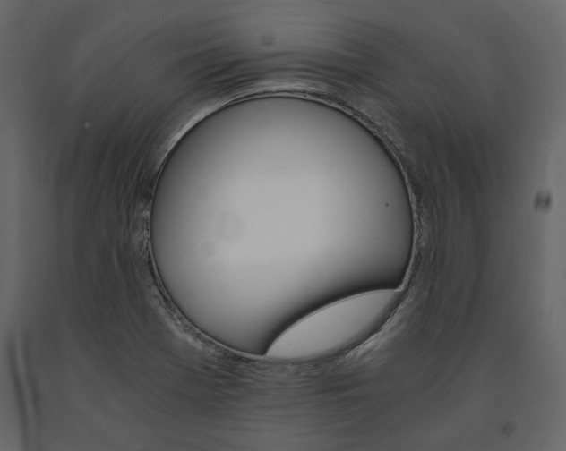 X0000091521369200708241641