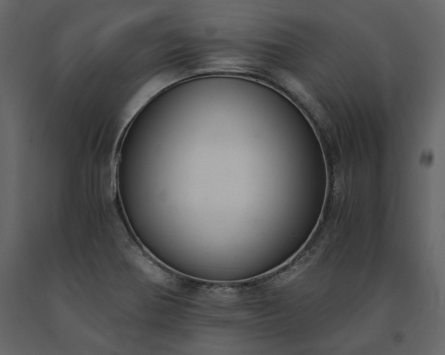 X0000091521370200708241641