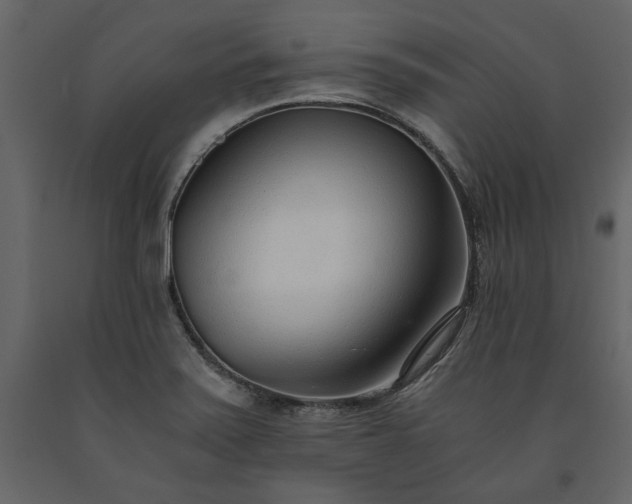 X0000091521371200708241641