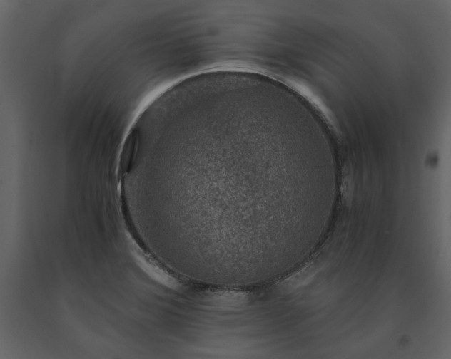 X0000091521372200708241641