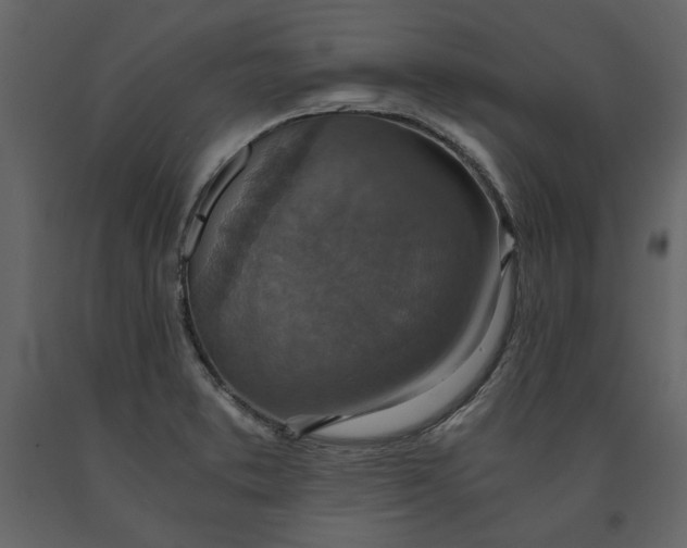 X0000091521373200708241641
