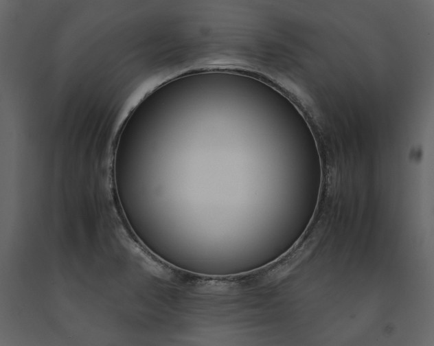 X0000091521374200708241641