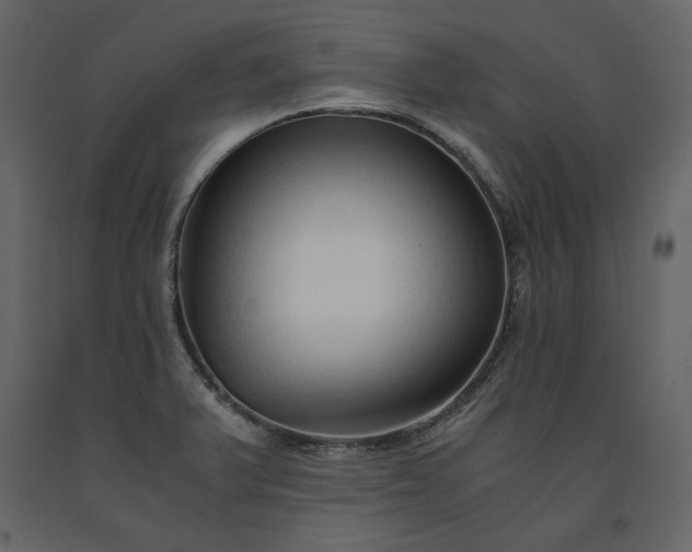 X0000091521375200708241641