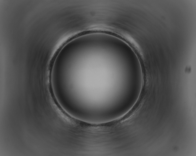 X0000091521376200708241641