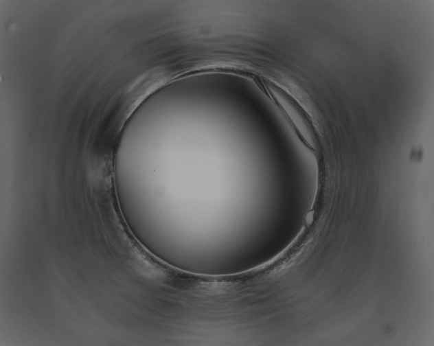 X0000091521377200708241641