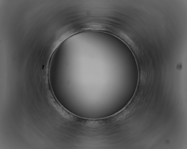 X0000091521378200708241641