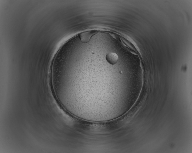 X0000091521379200708241641