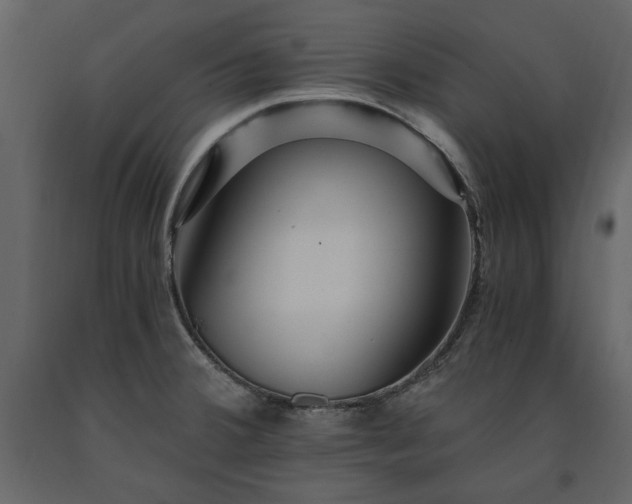 X0000091521380200708241641