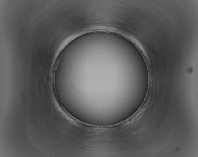 X0000091521381200708241641