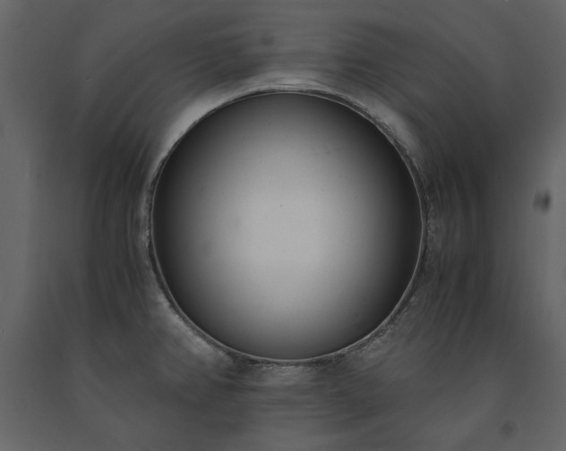X0000091521382200708241641