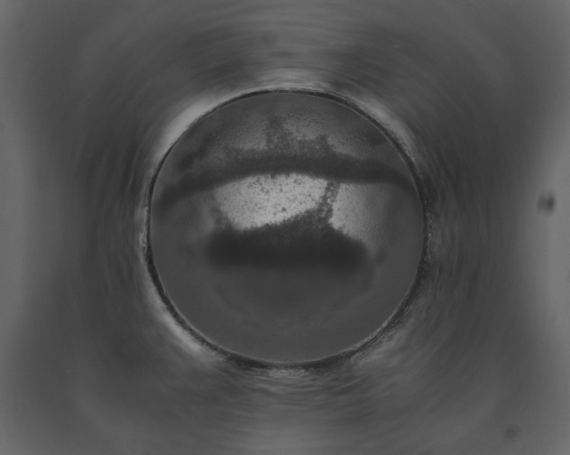 X0000091521383200708241641
