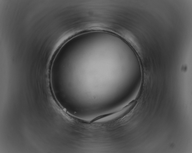 X0000091521384200708241641