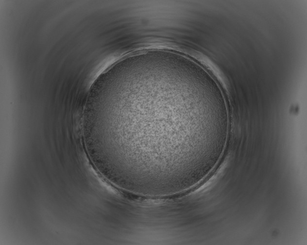 X0000091521385200708241641