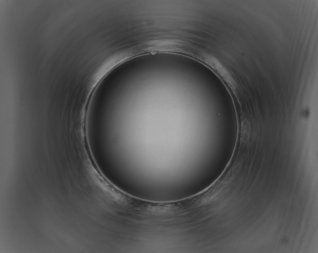 X0000091521386200708241641
