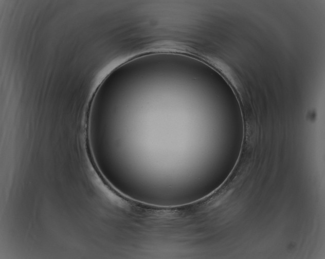 X0000091521387200708241641