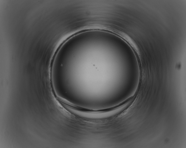 X0000091521388200708241641