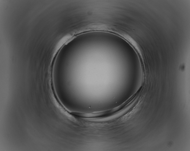 X0000091521389200708241641