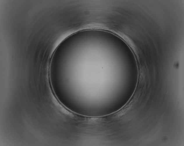 X0000091521390200708241641