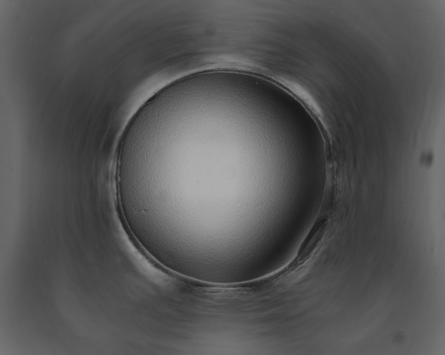 X0000091521391200708241641