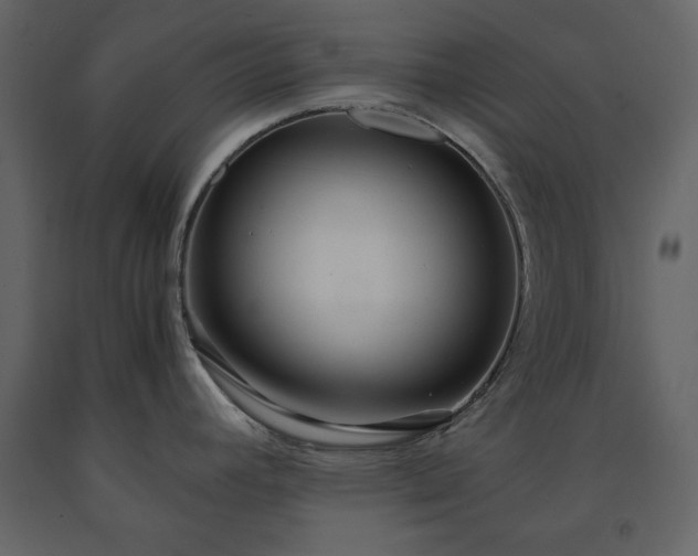 X0000091521392200708241641